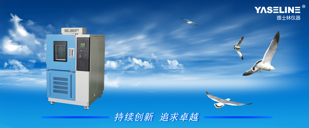 YSL��غ��ԇ���